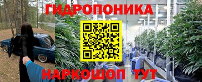 гашик Пыть-Ях