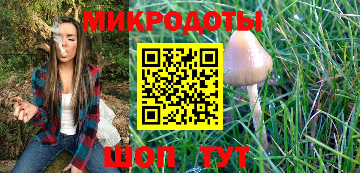 Псилоцибиновые грибы прущие грибы  Вход с VPN  Сатка 