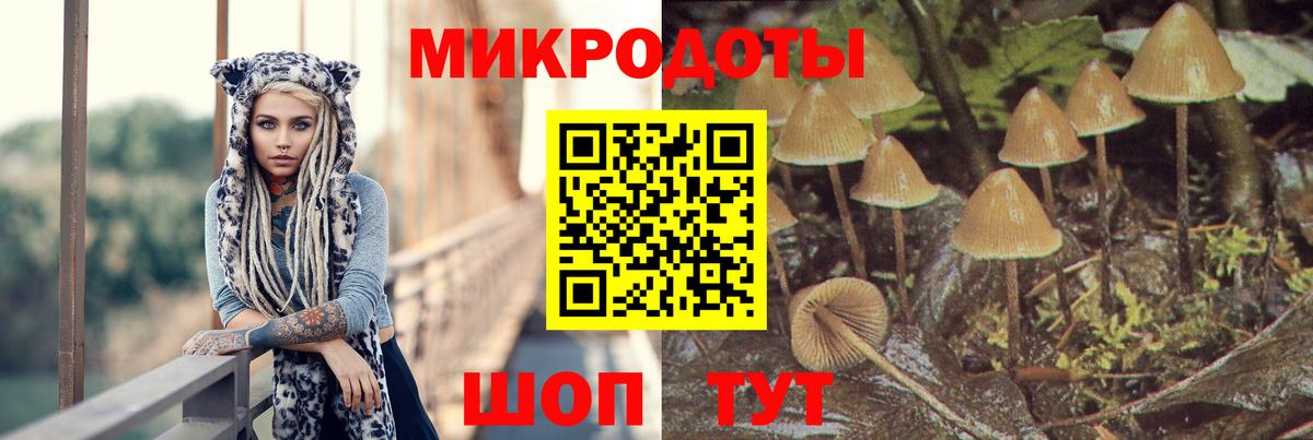 Галлюциногенные грибы GOLDEN TEACHER Сатка